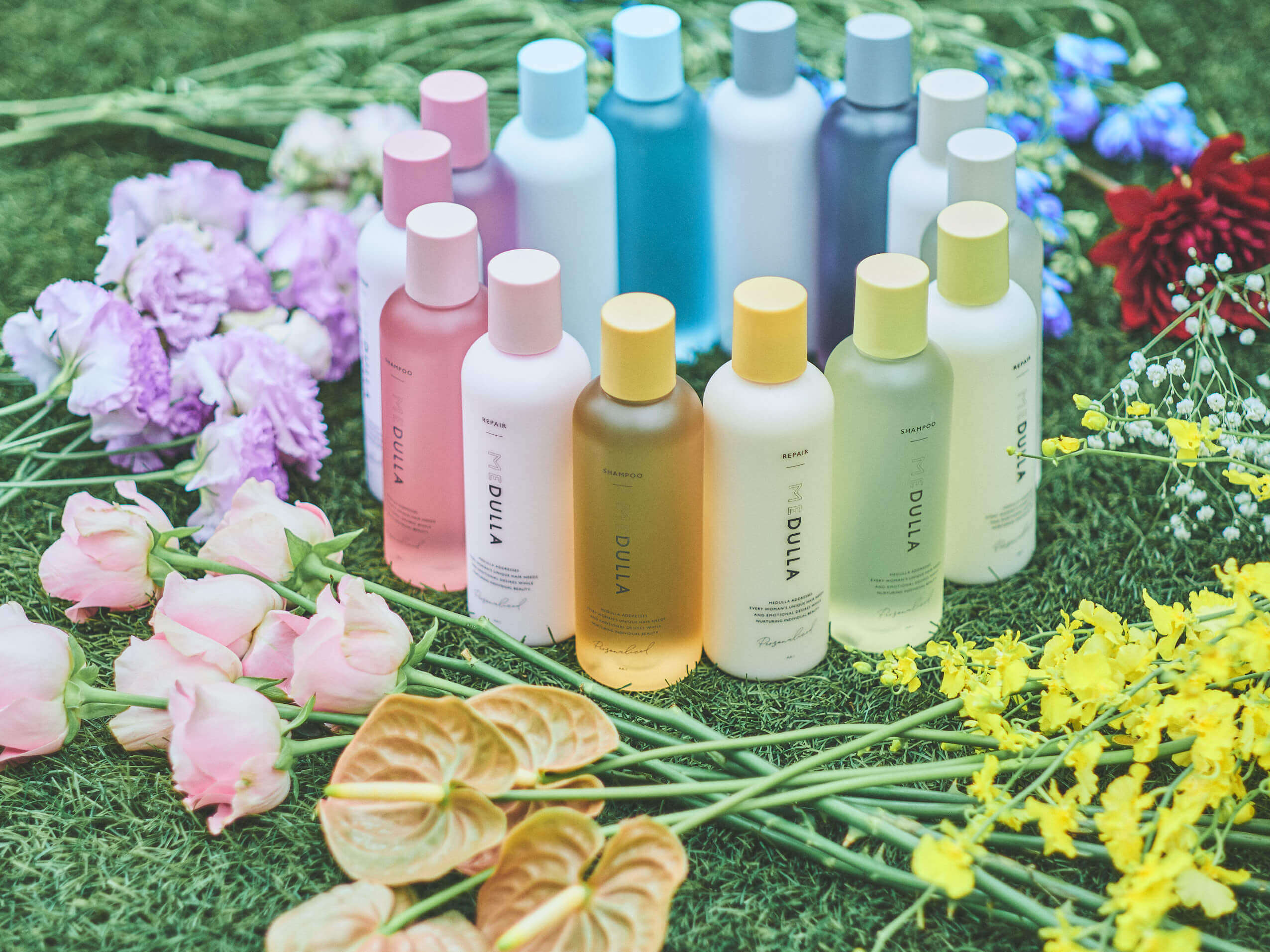 MEDULLA